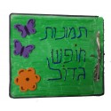 כריכה לאלבום