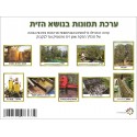 ערכת תמונות-זית