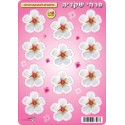 חיתוכי פרחי שקדייה-מצולם