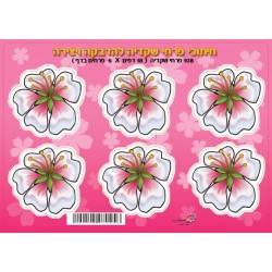חיתוכי פרחי שקדייה-מאוייר