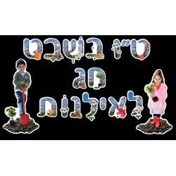 ערכת קישוט-ט"ו בשבט