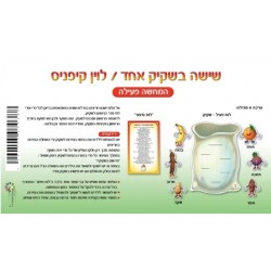 שישה בשקיק-המחשה פעילה
